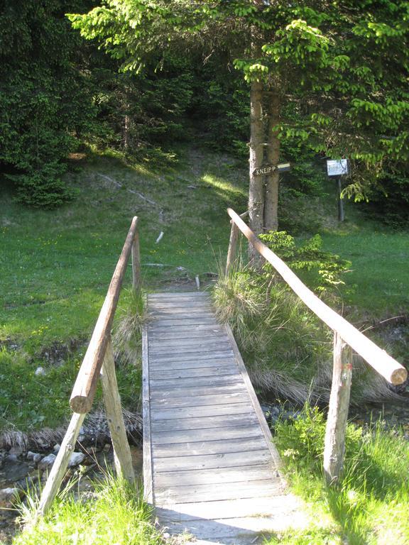 Huettentraum Flattnitz Buitenkant foto