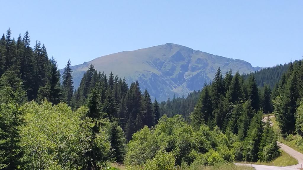Huettentraum Flattnitz Buitenkant foto